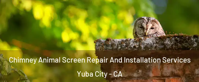  Chimney Animal Screen Repair And Installation Services Yuba City - CA
