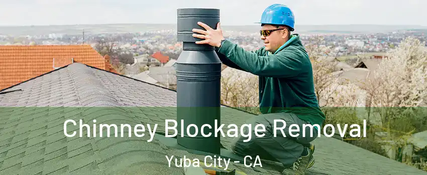  Chimney Blockage Removal Yuba City - CA