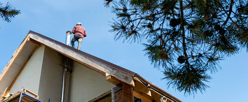 Birds Removal Contractors from Chimney in Yuba City, CA