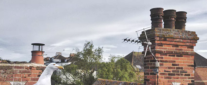 Chimney Cleaning And Restoration in Yuba City, California
