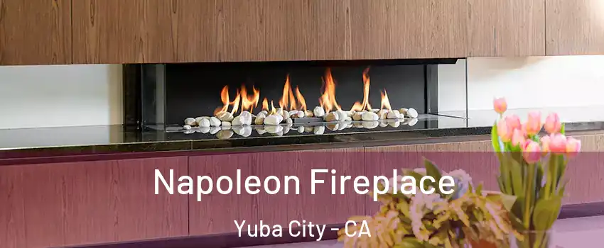  Napoleon Fireplace Yuba City - CA